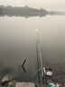 神鯊湖庫王4.5米魚(yú)竿超輕超硬碳素釣魚(yú)竿手竿臺釣竿鯉魚(yú)桿鯽魚(yú)竿漁具 曬單實(shí)拍圖