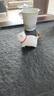 蘇氏陶瓷（SUSHI CERAMICS）羊脂玉瓷茶具配件茶寵描金小貓咪J0876 曬單實(shí)拍圖