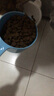 INSTINCT進口貓糧百利無谷雞全貓幼貓干糧11磅/5kg 曬單實拍圖