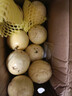 黃金百香果欽蜜9號(hào)新鮮當(dāng)季現(xiàn)摘精選好果水果百香果鮮果酸甜可口 欽蜜9號(hào)黃金百香果40~60g中果1斤 曬單實(shí)拍圖