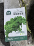 北蔬 羽衣甘藍種子苗四季盆栽陽(yáng)臺種耐寒菜種籽 綠羽衣甘藍種子100粒 曬單實(shí)拍圖