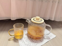小熊（Bear）國家補貼全玻璃養(yǎng)生壺 養(yǎng)生杯 辦公室多功能圍爐煮茶花茶壺0金屬全玻璃壺體恒溫壺水壺電熱燒水壺 YSH-P10Q7【全玻璃壺體】 1L 無濾網(wǎng) 曬單實拍圖