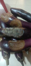 山東農(nóng)家綠把紫皮長茄現(xiàn)摘現(xiàn)發(fā)新鮮嫩茄蔬菜生鮮 現(xiàn)摘新鮮茄子 5斤 凈重 曬單實(shí)拍圖