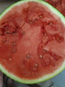 正宗寧夏中衛(wèi)硒砂瓜 石頭縫長(zhǎng)出的大西瓜 甘甜可口 新鮮水果 熱賣 10-12斤/個(gè)（小果嘗鮮越大越甜） 曬單實(shí)拍圖