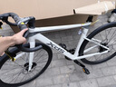 喜德盛公路自行車2025款A(yù)D300油碟UCI車架2x10速中空一體牙盤桶軸破風(fēng)車 白蛇 510mm 曬單實(shí)拍圖