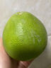 純甜雪峰柚冰糖柚子湖南安江小新鮮白心蜜柚苦柚老樹(shù)土柚孕婦水果 凈重9斤中果（400g-500g)【家常優(yōu)選】 曬單實(shí)拍圖