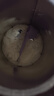 雀巢健康科學(xué)肽敏舒 含乳糖 乳蛋白深度水解配方粉 0-12月適用 正品保證 400g 曬單實拍圖