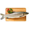 鮮活放心草魚(yú)1-1.25kg/條 曬單實(shí)拍圖