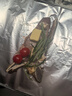正大 脆皮炸雞 韓式炸雞 十翅一桶 半成品冷凍 炸雞小食 空氣炸鍋食材 脆皮炸雞240g*6(青花椒、原味各3袋) 曬單實(shí)拍圖