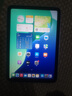Apple/蘋果 iPad mini (A17 Pro) 8.3英寸 平板電腦(256G WLAN版/mini7/MXNE3CH/A)紫色 曬單實(shí)拍圖
