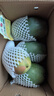 京覓四川凱特芒果新鮮水果凈重8斤單果410g+源頭直發(fā)包郵 曬單實(shí)拍圖