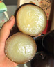 凍梨東北特產(chǎn)梨子新鮮丑梨水果果凍秋梨黑梨凍柿子泡梨順豐 1斤 蘋(píng)果梨  凍梨 曬單實(shí)拍圖