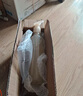 滴露（Dettol）消毒液衣物除菌液洗衣消毒水1.8L殺菌除螨 家居寵物消毒除菌  曬單實拍圖
