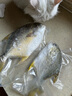 翔泰 海南金鯧魚凈重900g 2條裝  魚類生鮮 燒烤 火鍋食材 海鮮水產(chǎn) 曬單實(shí)拍圖