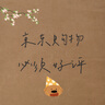 普聯(lián)（TP-LINK） 5口全千兆鋼殼交換機 企業(yè)級交換器 4口監(jiān)控網(wǎng)絡(luò)網(wǎng)線分線器  金屬機身 TL-SG1005D 曬單實拍圖