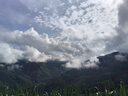網(wǎng)絡(luò )眼終身免流量太陽(yáng)能攝像頭監控手機遠程免插電360度無(wú)死角帶夜視戶(hù)外無(wú)線(xiàn)全景防水室外無(wú)電無(wú)網(wǎng) 曬單實(shí)拍圖