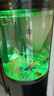 閩江半圓形生態(tài)上濾金魚缸中小型創(chuàng)意造景客廳家用玻璃水族箱 長58寬36高143.5【缸+柜】送禮包 曬單實拍圖