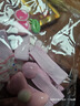 嬰兒發(fā)夾女寶寶不傷發(fā)夾子兒童發(fā)卡嬰幼兒小發(fā)夾頭飾小女孩汗毛夾 TS192-01粉色兔子5件套 曬單實(shí)拍圖