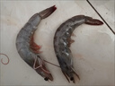 萬(wàn)景 北海鮮凍白蝦 國產(chǎn)白蝦 單凍無(wú)冰凈重4斤 100-120只 家庭聚餐  曬單實(shí)拍圖