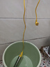 朋意熱得快燒水棒安全自動(dòng)斷電家用加熱器燒水神器熱水棒電熱管熱的快 2000W【數顯可調溫】 【送測溫計】 曬單實(shí)拍圖