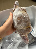 梭子蟹鮮活特大野生舟山大螃蟹海鮮新鮮冷凍海蟹水產(chǎn)飛蟹白蟹 【大號梭子蟹】7-9兩/只凈重5斤 曬單實拍圖
