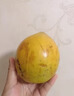 優(yōu)味集【JD順豐】蛋黃果新鮮雞蛋果水果熱帶生鮮果應(yīng)季特產(chǎn)軟糯香甜 500g凈重裝（產(chǎn)地大果） 曬單實(shí)拍圖