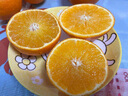 榮剛四川愛(ài)媛38號果凍橙青見(jiàn)橙子新鮮應季水果柑橘手剝甜橙子產(chǎn)地直發(fā) 凈重4.5斤裝【中果65mm-70mm】 曬單實(shí)拍圖