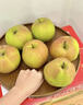 愛(ài)山姆隰縣梨園 山西隰縣玉露香梨 臨汾館玉露香梨脆甜多汁梨子特產(chǎn) 18顆10斤中果（單果280-330g) 曬單實(shí)拍圖