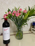Penfolds BIN407紅葡萄酒【沃爾瑪】 750mL 1瓶 曬單實(shí)拍圖
