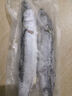 蓋世 鲅魚(yú)冷凍一斤裝  2條 海鮮鲅魚(yú) 生鮮烹飪食材 水產(chǎn) 曬單實(shí)拍圖