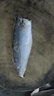 朵芙挪威青花魚(yú) 1kg深海魚(yú)類(lèi)特大青花魚(yú)新鮮鯖魚(yú)鮐鲅魚(yú)生鮮海鮮水產(chǎn) 【單片獨立包裝】超大6片凈1000g 曬單實(shí)拍圖
