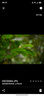 騰龍（Tamron）A074S 28-300mm F/4-7.1 VC防抖長(cháng)焦28-300旅行風(fēng)光全畫(huà)幅微單鏡頭28300 索尼FE卡口 官方標配【贈騰龍UV濾鏡+64G存儲卡+清潔套裝】 曬單實(shí)拍圖