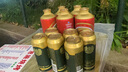 青島啤酒（TsingTao）高端釀造 奧古特啤酒經(jīng)典原麥汁濃度12°P 大罐整箱 500mL 18罐 曬單實(shí)拍圖