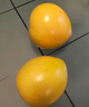 元珍鮮誠福建琯溪紅心蜜柚當季新鮮送禮現摘柚子 新鮮整箱水果 5斤裝（凈果4.5斤）約2個(gè)裝 曬單實(shí)拍圖