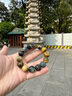 鳳御皇藍虎眼石手串男士盤(pán)玩鹿角根付龍珠龍鱗紋黃虎睛石手鏈男文玩把件 鹿角根付龍珠虎眼石手串 曬單實(shí)拍圖