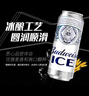 百威冰啤酒500ml*18聽(tīng)整箱裝【99%好評(píng)】 七夕送禮  曬單實(shí)拍圖