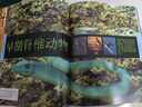 DK兒童恐龍百科全書 第2版 精裝加厚 英國DK公司 兒童科普百科全書6-12歲 曬單實(shí)拍圖