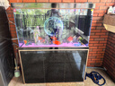 森森（SUNSUN）大型魚(yú)缸底過(guò)濾水族箱客廳家用落地玻璃生態(tài)金魚(yú)缸 【實(shí)時(shí)溫顯+燈控】經(jīng)典黑 1.2米長(cháng)35cm寬 曬單實(shí)拍圖