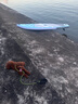 藍科SUP充氣槳板站立式漂流槳板競速沖浪板劃水板漿板船劃槳浮板水上 【即將售空 福利板】028-七彩中青-贈送6件套 曬單實(shí)拍圖