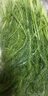 辰實(shí)【順豐發(fā)貨中】山東茴香菜新鮮 小茴香蔬菜 葷香菜苗回香 2斤 （嘗鮮） 曬單實(shí)拍圖