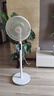 美的（Midea）【幸運草安睡1S】一級能效直流變頻聲控電風扇家用遙控臥室靜音落地扇臺式桌面抗菌大風力轉頁扇 曬單實拍圖