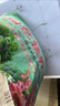 【通用土】營養(yǎng)土養(yǎng)花種菜土壤有機(jī)蘭花多肉植物盆栽種植椰磚土 25kg 1袋 曬單實拍圖
