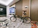 大行（DAHON） 大行折疊車(chē)D7復古折疊自行車(chē)20英寸7速城市男女休閑自行車(chē)HAC072 草綠色 曬單實(shí)拍圖