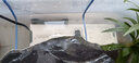 森森魚缸過濾器三合一內(nèi)置小型水族箱過濾系統(tǒng)增氧泵XQP-1000F 15W 曬單實拍圖