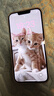 【白條免息】Apple iPhone13 蘋果13 國(guó)行5G全網(wǎng)通   雙卡 蘋果手機(jī) 粉色【現(xiàn)貨速發(fā)】 99新256G【限時(shí)特惠+三年店保+豪華禮包】 曬單實(shí)拍圖