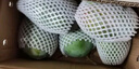 京鮮生 攀枝花凱特芒果 凈重8.5斤 帶箱9斤 單果400g+ 生鮮水果源頭直發(fā) 曬單實(shí)拍圖
