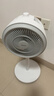 美的（Midea）【暴風(fēng)循環(huán)】空氣循環(huán)扇大風(fēng)量搖頭電風(fēng)扇家用臺(tái)式落地扇輕音臥室節(jié)能小風(fēng)扇柔風(fēng)輕羽扇 FGA24TQ 曬單實(shí)拍圖
