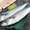 純色本味 冷凍青花魚(yú)(鯖魚(yú)）2斤 燒烤食材 中秋 生鮮魚(yú)類(lèi) 生鮮魚(yú)類(lèi) 曬單實(shí)拍圖