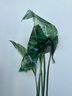 歐仕圖（OUSHITU）ins墻貼自粘 清新植物墻壁裝飾貼畫(huà)客廳臥室墻面布置貼紙走廊墻紙 舒心一角（超大） 曬單實(shí)拍圖
