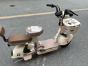 臺鈴電動(dòng)自行車(chē)【國家補貼】小錦鯉50公里長(cháng)續航電動(dòng)車(chē)鉛酸電池48V13Ah電瓶車(chē)新國標杏仁棕 曬單實(shí)拍圖